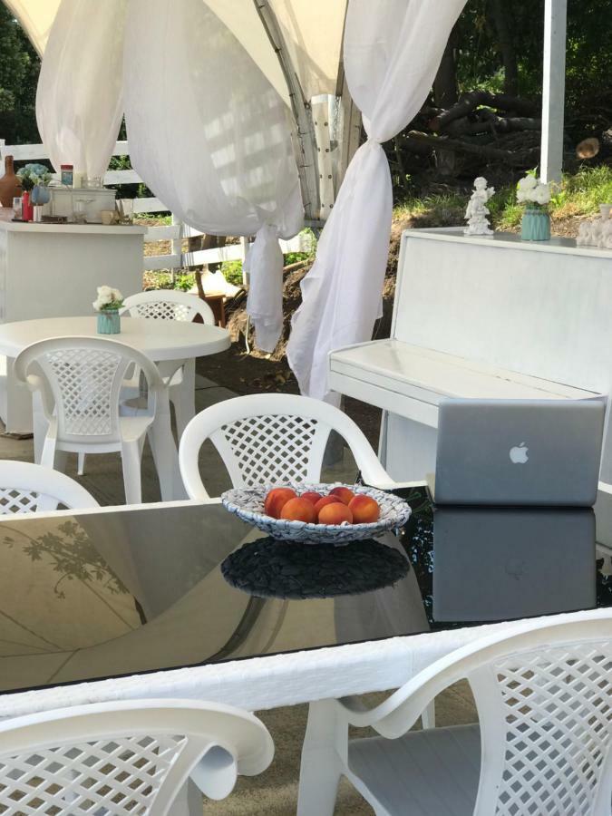 Palm Hotel New Athos Kültér fotó